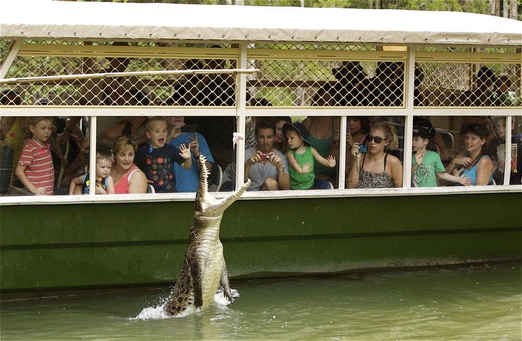 Best Hartley’s Crocodile Adventures Tours with Sizzling Wheels